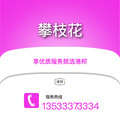 北京到攀枝花物流公司|北京至攀枝花貨運公司
